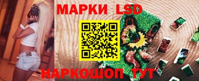 шишки Новокубанск