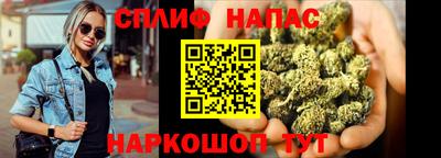 шишки Новокубанск