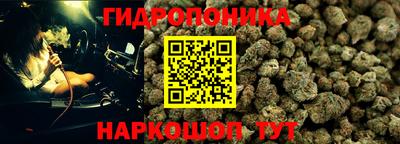 скорость Новодвинск