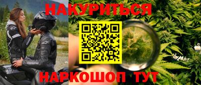 шишки Новокубанск