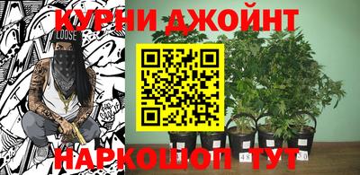 jwh Новозыбков