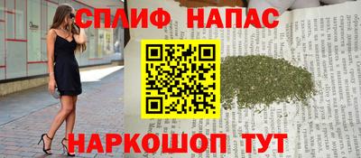 jwh Новозыбков