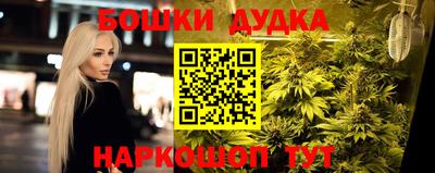 скорость Новодвинск