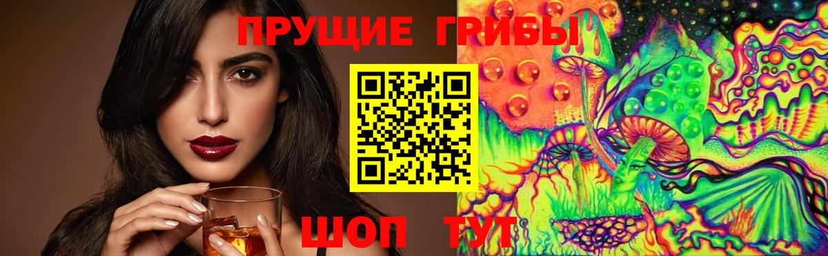 Псилоцибиновые грибы Обнинск