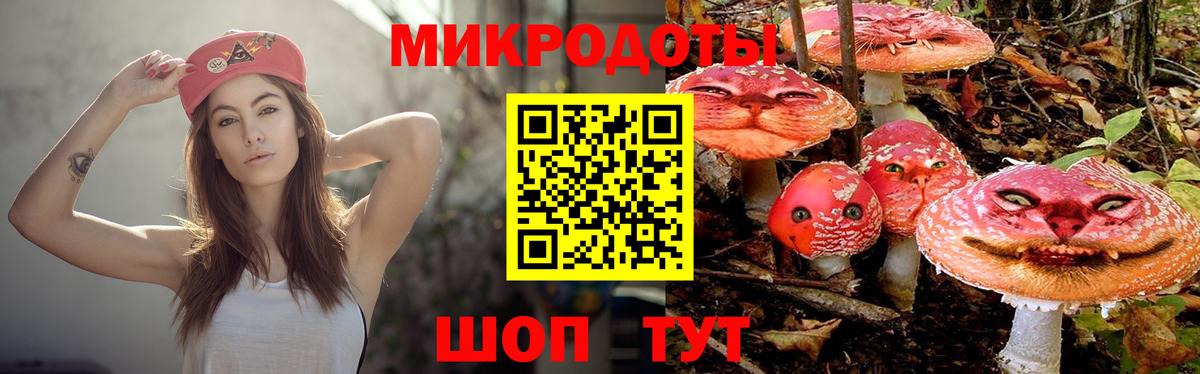 Обнинск  Галлюциногенные грибы Magic Shrooms  Вход с VPN  Галлюциногенные грибы Magic Shrooms 